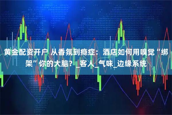 黄金配资开户 从香氛到瘾症：酒店如何用嗅觉“绑架”你的大脑？_客人_气味_边缘系统