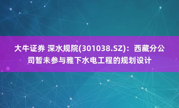 大牛证券 深水规院(301038.SZ)：西藏分公司暂未参与雅下水电工程的规划设计