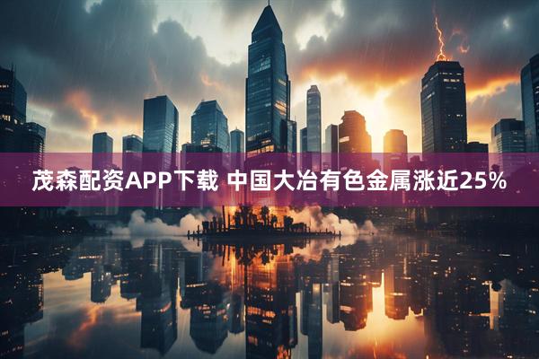 茂森配资APP下载 中国大冶有色金属涨近25%